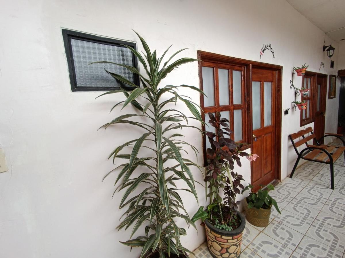 Casa Petirrojo - Habitaciones En Pátzcuaro Eksteriør billede