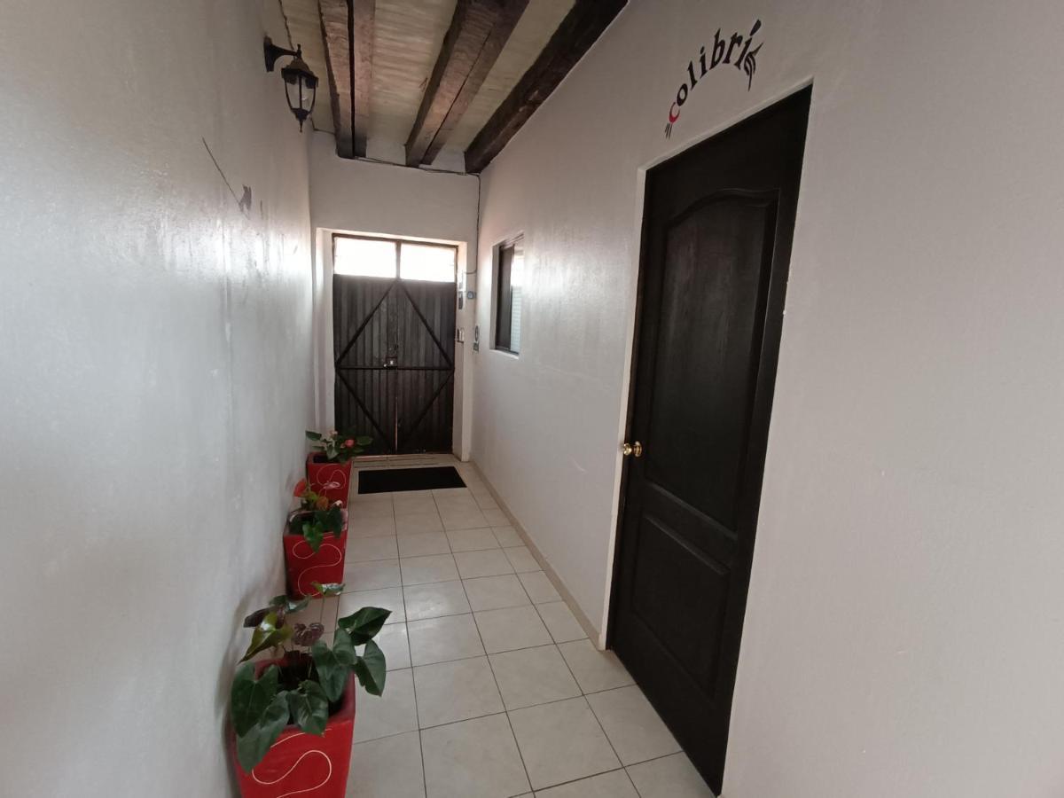 Casa Petirrojo - Habitaciones En Pátzcuaro Eksteriør billede